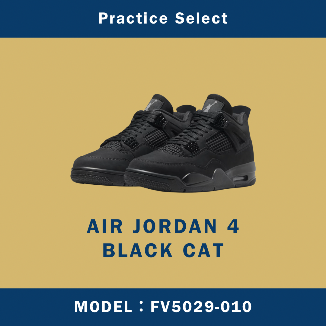 【台灣商家】AIR JORDAN 4 BLACK CAT FV5029-010