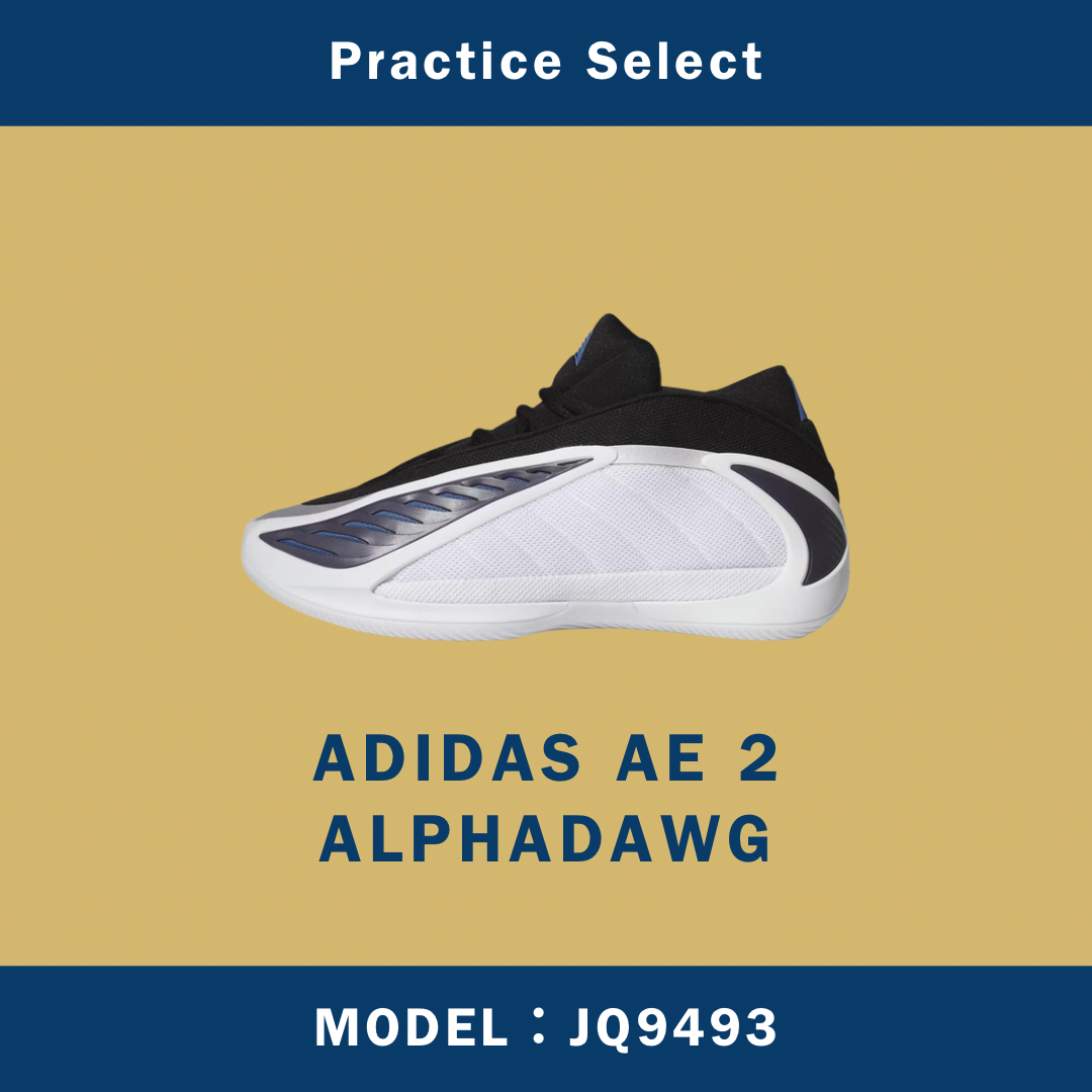 【台灣商家】ADIDAS AE 2 ALPHADAWG JQ9493