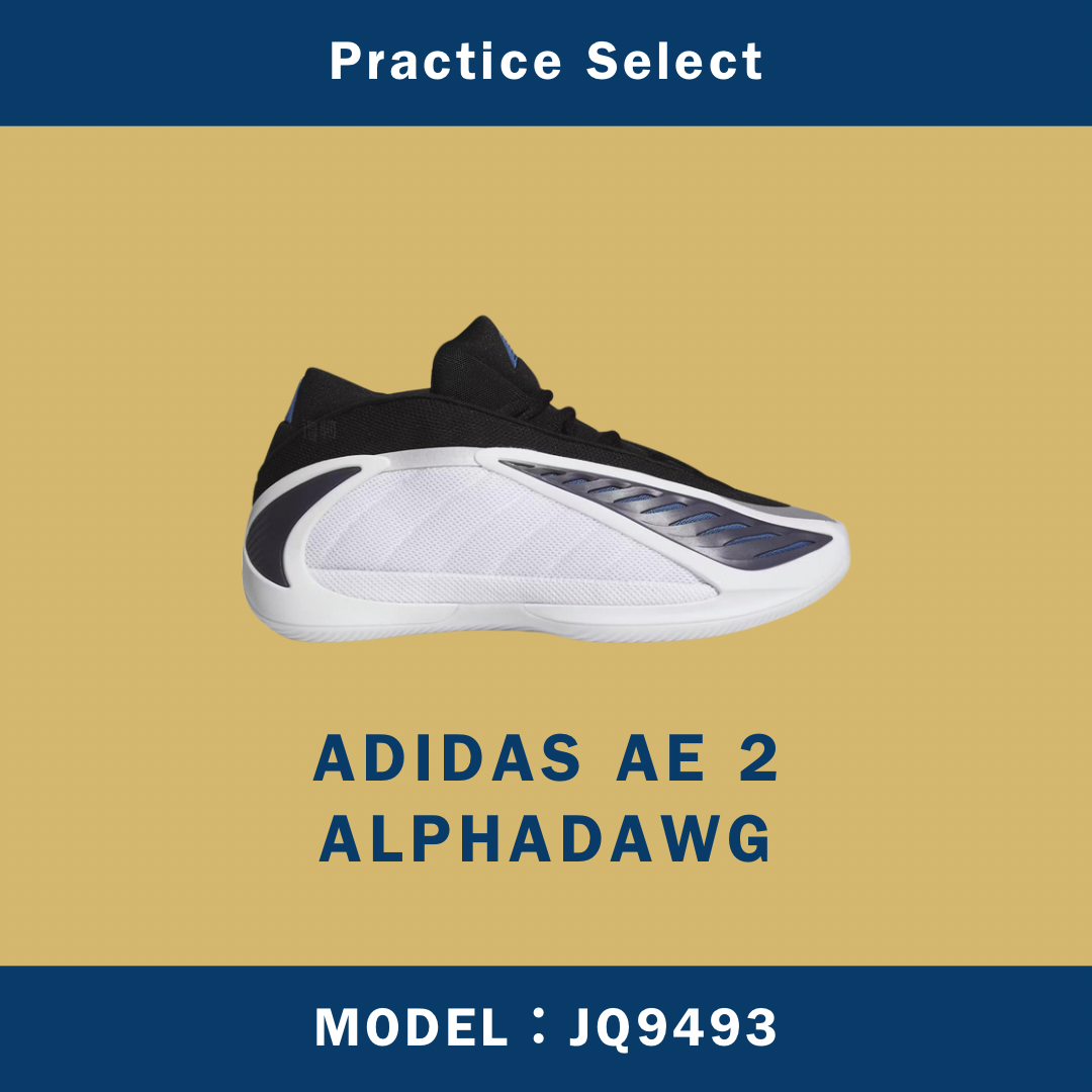【台灣商家】ADIDAS AE 2 ALPHADAWG JQ9493